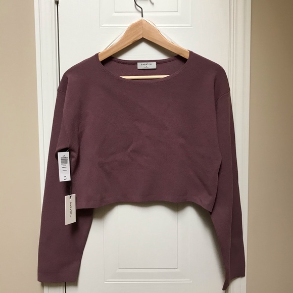 Aritzia Babaton Hessy Sweater (S) - Picture 3 of 12